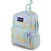 image:imageJanSport Central Adaptive Backpack  Wheelchair amp Walker Compatible TuckAway Shoulder Straps Adjustable Backrest Loops amp Anchor Straps Iconic Design Cyberspace GalaxyFaded Floral Fresh Mint