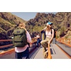 image:imageJanSport Venture Daypack  Travel Pack With Large Main Compartment Padded Laptop Sleeve Dual Water Bottle Pockets and Attachment Buckles BlackCargo Green