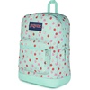 image:imageJanSport Cross Town Plus Backpack  Large Main Compartment Side Water Bottle Pocket 15Inch Padded Laptop Sleeve  Color Blocked  Mahogany HazeApple Orchard Magic