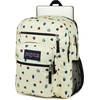 image:imageJanSport Laptop Backpack  Computer Bag with 2 Compartments Ergonomic Shoulder Straps 15 Laptop Sleeve Haul Handle  Faded SageA Bugs Vibe