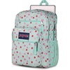 image:imageJanSport Laptop Backpack  Computer Bag with 2 Compartments Ergonomic Shoulder Straps 15 Laptop Sleeve Haul Handle  Faded SageApple Orchard Magic