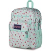 image:imageJanSport Laptop Backpack  Computer Bag with 2 Compartments Ergonomic Shoulder Straps 15 Laptop Sleeve Haul Handle  Faded SageApple Orchard Magic