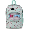 image:imageJanSport Laptop Backpack  Computer Bag with 2 Compartments Ergonomic Shoulder Straps 15 Laptop Sleeve Haul Handle  Faded SageApple Orchard Magic