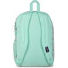 image:imageJanSport Laptop Backpack  Computer Bag with 2 Compartments Ergonomic Shoulder Straps 15 Laptop Sleeve Haul Handle  Faded SageApple Orchard Magic