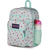 image:imageJanSport Laptop Backpack  Computer Bag with 2 Compartments Ergonomic Shoulder Straps 15 Laptop Sleeve Haul Handle  Faded SageApple Orchard Magic
