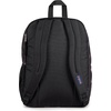 image:imageJanSport Laptop Backpack  Computer Bag with 2 Compartments Ergonomic Shoulder Straps 15 Laptop Sleeve Haul Handle  Faded SageBad Bows