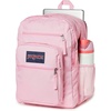 image:imageJanSport Laptop Backpack  Computer Bag with 2 Compartments Ergonomic Shoulder Straps 15 Laptop Sleeve Haul Handle  Faded SageBubble Gum
