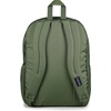 image:imageJanSport Laptop Backpack  Computer Bag with 2 Compartments Ergonomic Shoulder Straps 15 Laptop Sleeve Haul Handle  Faded SageCargo Green