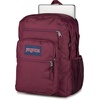 image:imageJanSport Laptop Backpack  Computer Bag with 2 Compartments Ergonomic Shoulder Straps 15 Laptop Sleeve Haul Handle  Faded SageCherry Lacquer