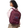 image:imageJanSport Laptop Backpack  Computer Bag with 2 Compartments Ergonomic Shoulder Straps 15 Laptop Sleeve Haul Handle  Faded SageCherry Lacquer