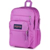 image:imageJanSport Laptop Backpack  Computer Bag with 2 Compartments Ergonomic Shoulder Straps 15 Laptop Sleeve Haul Handle  Faded SageDigital Fuchsia