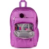 image:imageJanSport Laptop Backpack  Computer Bag with 2 Compartments Ergonomic Shoulder Straps 15 Laptop Sleeve Haul Handle  Faded SageDigital Fuchsia