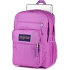 image:imageJanSport Laptop Backpack  Computer Bag with 2 Compartments Ergonomic Shoulder Straps 15 Laptop Sleeve Haul Handle  Faded SageDigital Fuchsia