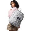 image:imageJanSport Laptop Backpack  Computer Bag with 2 Compartments Ergonomic Shoulder Straps 15 Laptop Sleeve Haul Handle  Faded SageFlutter By Grey