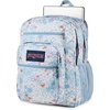 image:imageJanSport Laptop Backpack  Computer Bag with 2 Compartments Ergonomic Shoulder Straps 15 Laptop Sleeve Haul Handle  Faded SageFluttering Fields