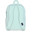 image:imageJanSport Laptop Backpack  Computer Bag with 2 Compartments Ergonomic Shoulder Straps 15 Laptop Sleeve Haul Handle  Faded SageFresh Mint