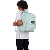 image:imageJanSport Laptop Backpack  Computer Bag with 2 Compartments Ergonomic Shoulder Straps 15 Laptop Sleeve Haul Handle  Faded SageFresh Mint