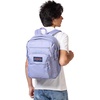 image:imageJanSport Laptop Backpack  Computer Bag with 2 Compartments Ergonomic Shoulder Straps 15 Laptop Sleeve Haul Handle  Faded SageLavender Ash
