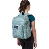 image:imageJanSport Laptop Backpack  Computer Bag with 2 Compartments Ergonomic Shoulder Straps 15 Laptop Sleeve Haul Handle  Faded SageLeapin Lillies