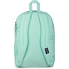 image:imageJanSport Laptop Backpack  Computer Bag with 2 Compartments Ergonomic Shoulder Straps 15 Laptop Sleeve Haul Handle  Faded SageMagic Mint