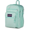 image:imageJanSport Laptop Backpack  Computer Bag with 2 Compartments Ergonomic Shoulder Straps 15 Laptop Sleeve Haul Handle  Faded SageMagic Mint