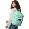 image:imageJanSport Laptop Backpack  Computer Bag with 2 Compartments Ergonomic Shoulder Straps 15 Laptop Sleeve Haul Handle  Faded SageMagic Mint
