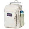 image:imageJanSport Laptop Backpack  Computer Bag with 2 Compartments Ergonomic Shoulder Straps 15 Laptop Sleeve Haul Handle  Faded SageMoon Flower