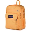image:imageJanSport Laptop Backpack  Computer Bag with 2 Compartments Ergonomic Shoulder Straps 15 Laptop Sleeve Haul Handle  Faded SageOrange Soda