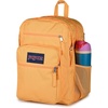 image:imageJanSport Laptop Backpack  Computer Bag with 2 Compartments Ergonomic Shoulder Straps 15 Laptop Sleeve Haul Handle  Faded SageOrange Soda
