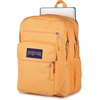 image:imageJanSport Laptop Backpack  Computer Bag with 2 Compartments Ergonomic Shoulder Straps 15 Laptop Sleeve Haul Handle  Faded SageOrange Soda