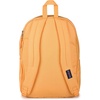 image:imageJanSport Laptop Backpack  Computer Bag with 2 Compartments Ergonomic Shoulder Straps 15 Laptop Sleeve Haul Handle  Faded SageOrange Soda