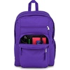 image:imageJanSport Laptop Backpack  Computer Bag with 2 Compartments Ergonomic Shoulder Straps 15 Laptop Sleeve Haul Handle  Faded SageParty Plum