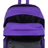 image:imageJanSport Laptop Backpack  Computer Bag with 2 Compartments Ergonomic Shoulder Straps 15 Laptop Sleeve Haul Handle  Faded SageParty Plum