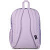 image:imageJanSport Laptop Backpack  Computer Bag with 2 Compartments Ergonomic Shoulder Straps 15 Laptop Sleeve Haul Handle  Faded SagePastel Petals Lilac