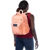image:imageJanSport Laptop Backpack  Computer Bag with 2 Compartments Ergonomic Shoulder Straps 15 Laptop Sleeve Haul Handle  Faded SagePeach Bum