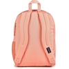 image:imageJanSport Laptop Backpack  Computer Bag with 2 Compartments Ergonomic Shoulder Straps 15 Laptop Sleeve Haul Handle  Faded SagePeach Bum