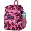 image:imageJanSport Laptop Backpack  Computer Bag with 2 Compartments Ergonomic Shoulder Straps 15 Laptop Sleeve Haul Handle  Faded SagePop Art Pansies