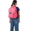 image:imageJanSport Laptop Backpack  Computer Bag with 2 Compartments Ergonomic Shoulder Straps 15 Laptop Sleeve Haul Handle  Faded SagePosh Pink
