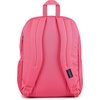 image:imageJanSport Laptop Backpack  Computer Bag with 2 Compartments Ergonomic Shoulder Straps 15 Laptop Sleeve Haul Handle  Faded SagePosh Pink