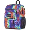 image:imageJanSport Laptop Backpack  Computer Bag with 2 Compartments Ergonomic Shoulder Straps 15 Laptop Sleeve Haul Handle  Faded SageRedMulti Hippie Days
