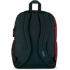 image:imageJanSport Laptop Backpack  Computer Bag with 2 Compartments Ergonomic Shoulder Straps 15 Laptop Sleeve Haul Handle  Faded SageRusset Red