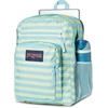 image:imageJanSport Laptop Backpack  Computer Bag with 2 Compartments Ergonomic Shoulder Straps 15 Laptop Sleeve Haul Handle  Faded SageStripe Hype Sky High Blue