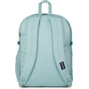 image:imageJanSport Main Campus FX Backpack  Travel or Work Bag w 15Inch Laptop Pack with Leather Trim TravertineFaded Sage