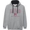 image:imageJanSport NCAA unisexadult Rival Colorblock HoodTeam Color