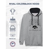image:imageJanSport NCAA unisexadult Rival Colorblock HoodTeam Color
