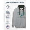 image:imageJanSport NCAA unisexadult Rival Colorblock HoodTeam Color