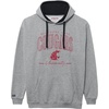 image:imageJanSport NCAA unisexadult Rival Colorblock HoodTeam Color