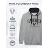 image:imageJanSport NCAA unisexadult Rival Colorblock HoodTeam Color