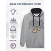 image:imageJanSport NCAA unisexadult Rival Colorblock HoodTeam Color