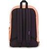 image:imageJanSport Right Pack Backpack  Durable Daypack with Padded 15 Laptop Sleeve Spacious Main Compartment amp Integrated Water Bottle Pocket  Moon FlowerPeach Neon